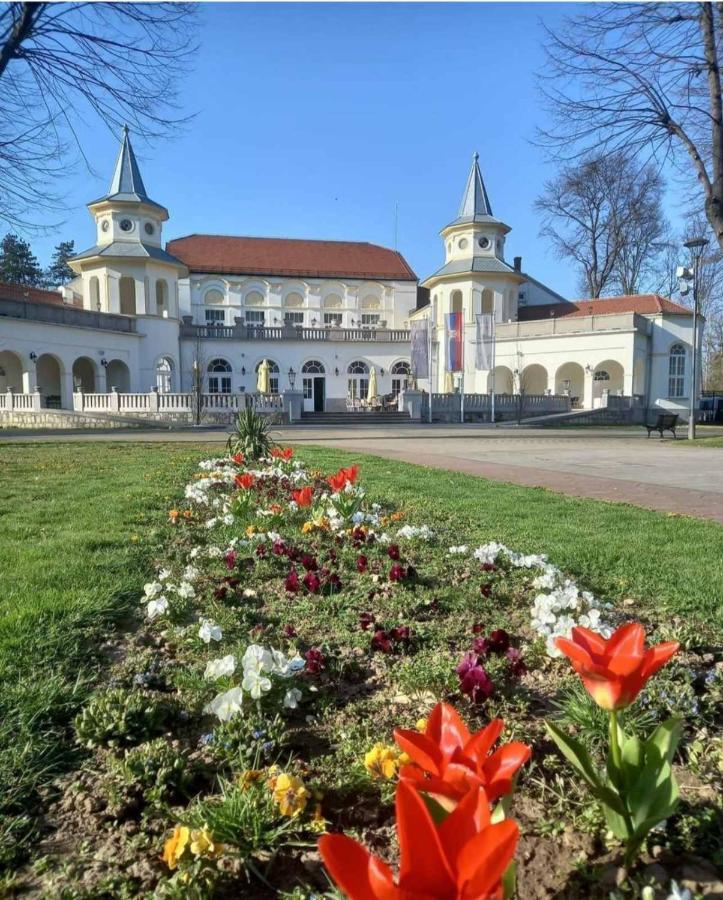 Apartman Moka Banja Koviljača エクステリア 写真